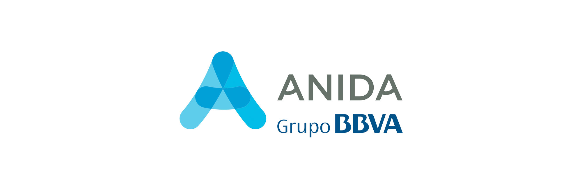 Grupo BBVA- Anida logo