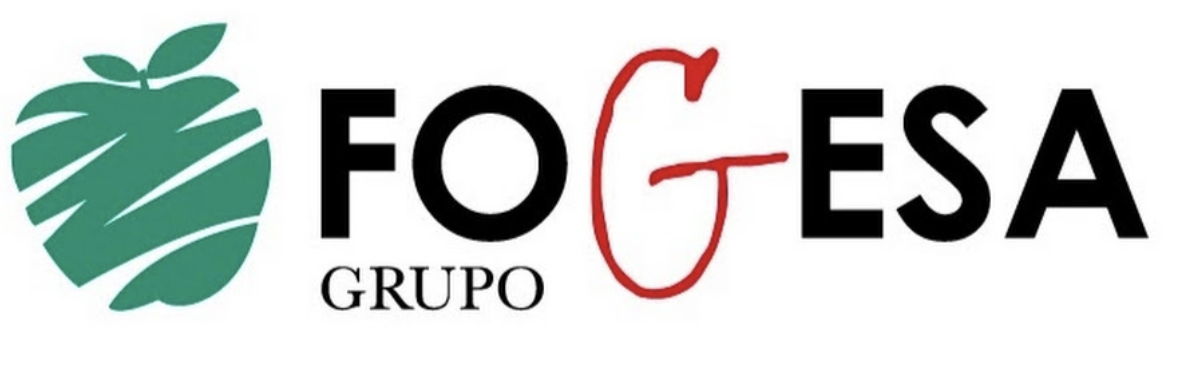 Grupo Fogesa logo