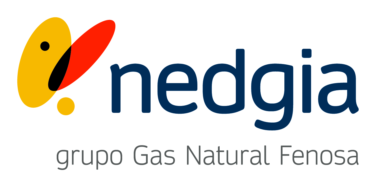 Nedgia, Grupo Naturgy logo