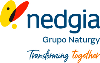 Nedgia, Grupo Naturgy logo