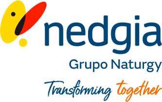 Nedgia, Grupo Naturgy