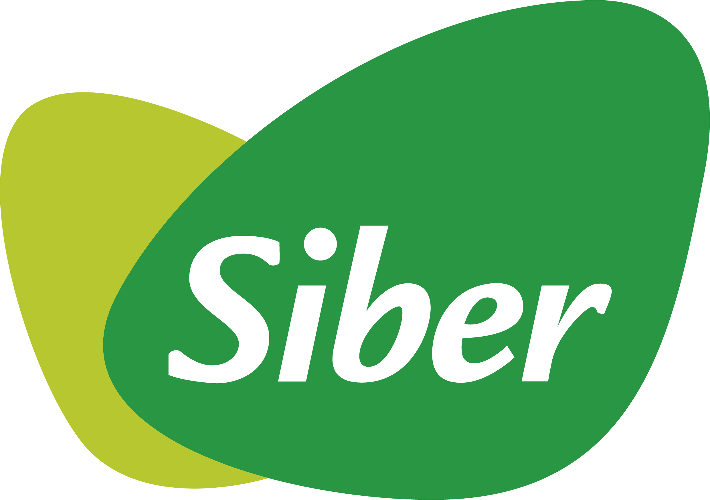 Siber logo