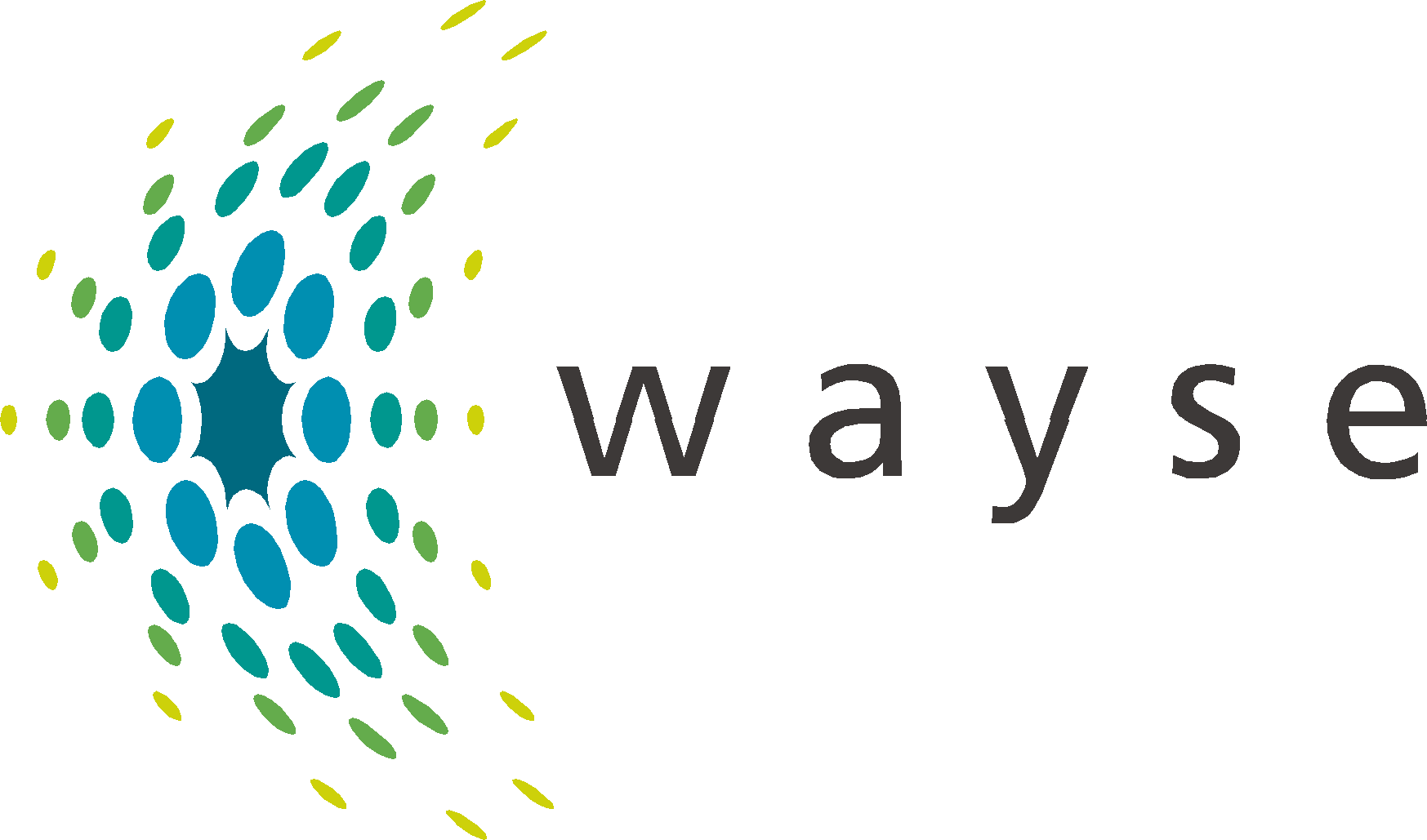 WAYSE logo